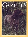[American Kennel Gazette]